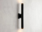 Spotlight 2-Light Outdoor Wall Sconce