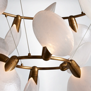 Grace Chandelier