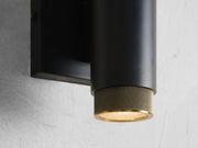 Spotlight 2-Light Outdoor Wall Sconce