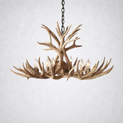 Natural Antler Chandelier 36