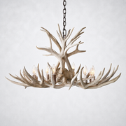 Natural Antler Chandelier 36