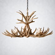 Natural Antler Chandelier 36