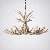 Natural Antler Chandelier 36