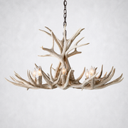 Natural Antler Chandelier 36