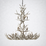 Natural Antler Chandelier 48