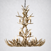 Natural Antler Chandelier 48