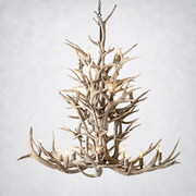 Natural Antler Chandelier 66