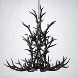 Natural Antler Chandelier 66