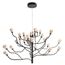 Cokuren Chandelier